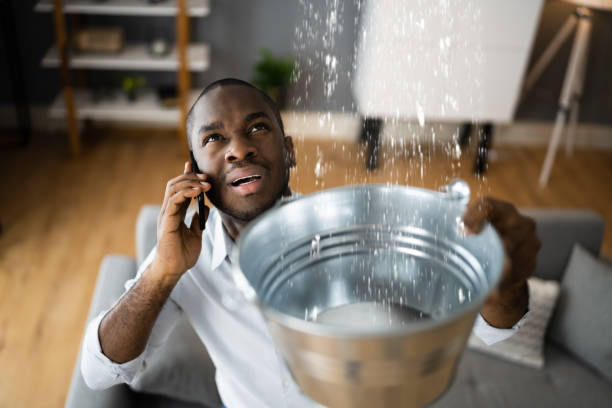 Best Water damage restoration process  in Penn State Erie, PA