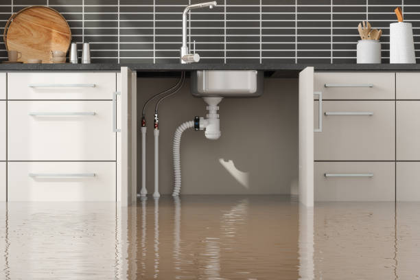 Best Sewage cleanup and water damage restoration  in Penn State Erie, PA