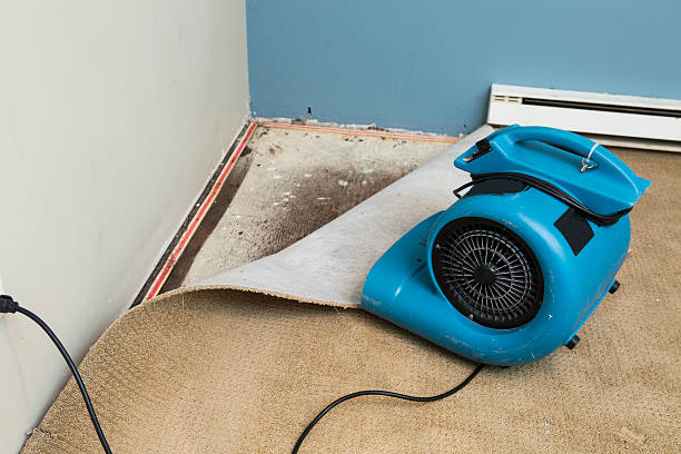 Best 24/7 water damage repair  in Penn State Erie, PA